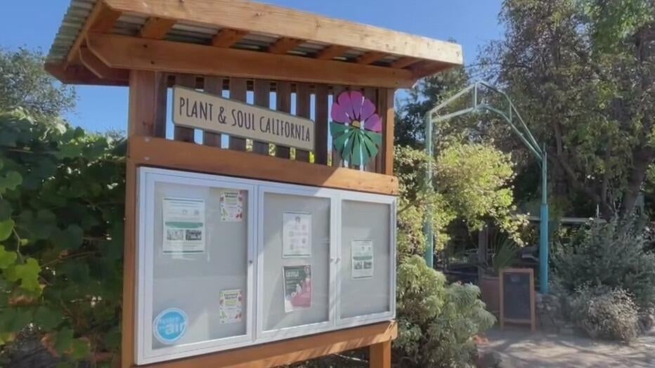 San Jose community garden told to leave as land is sold to developer — CBS Bay Area (KPIX), Stockholm Real Estate news