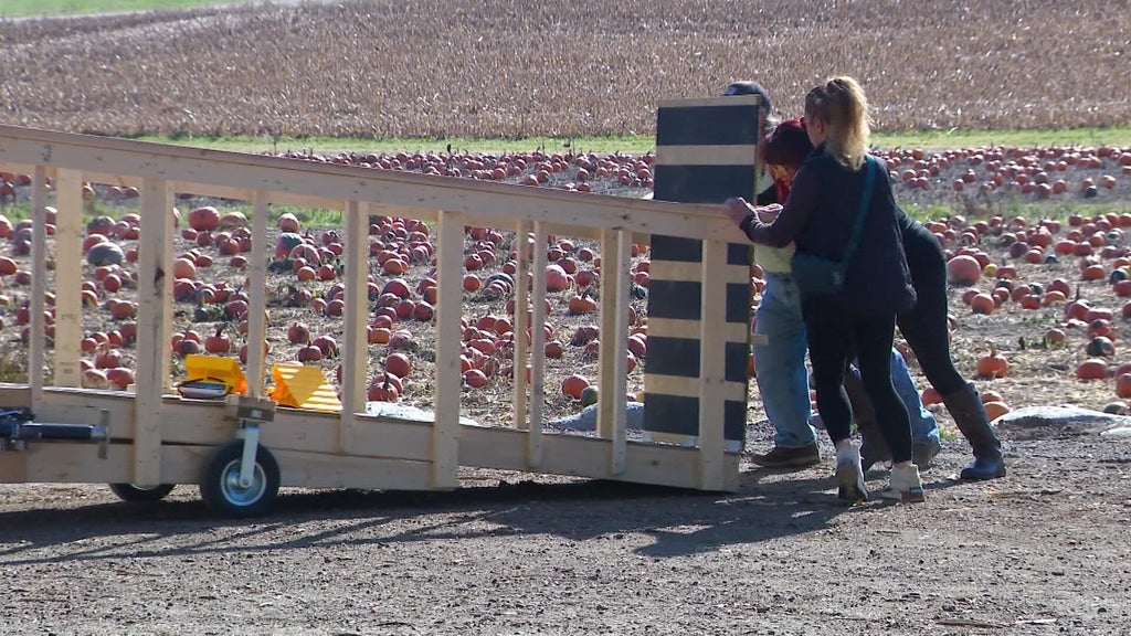 Farmington farm installs ramp to make hayride accessible to people who use wheelchairs — WCCO — Gopher, Stockholm Sports news